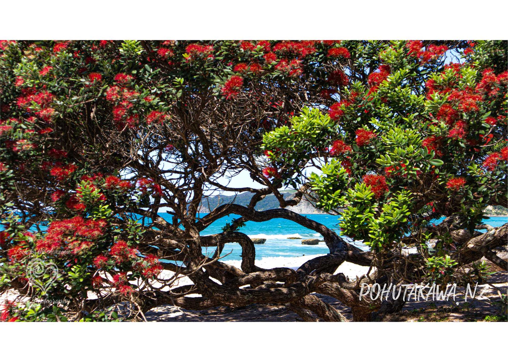 Pohutakawa Fabric Art - PCK Photography