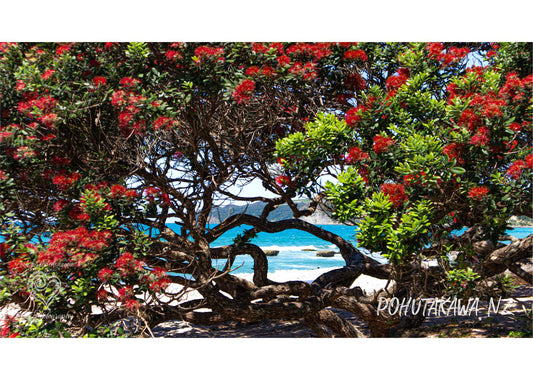 Pohutakawa Fabric Art - PCK Photography