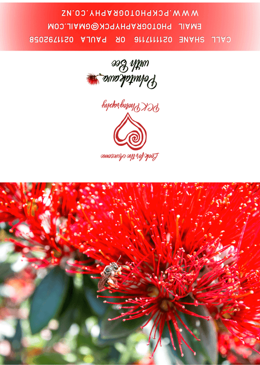 Pohutakawa with Bee Greeting Card - PCK Photography