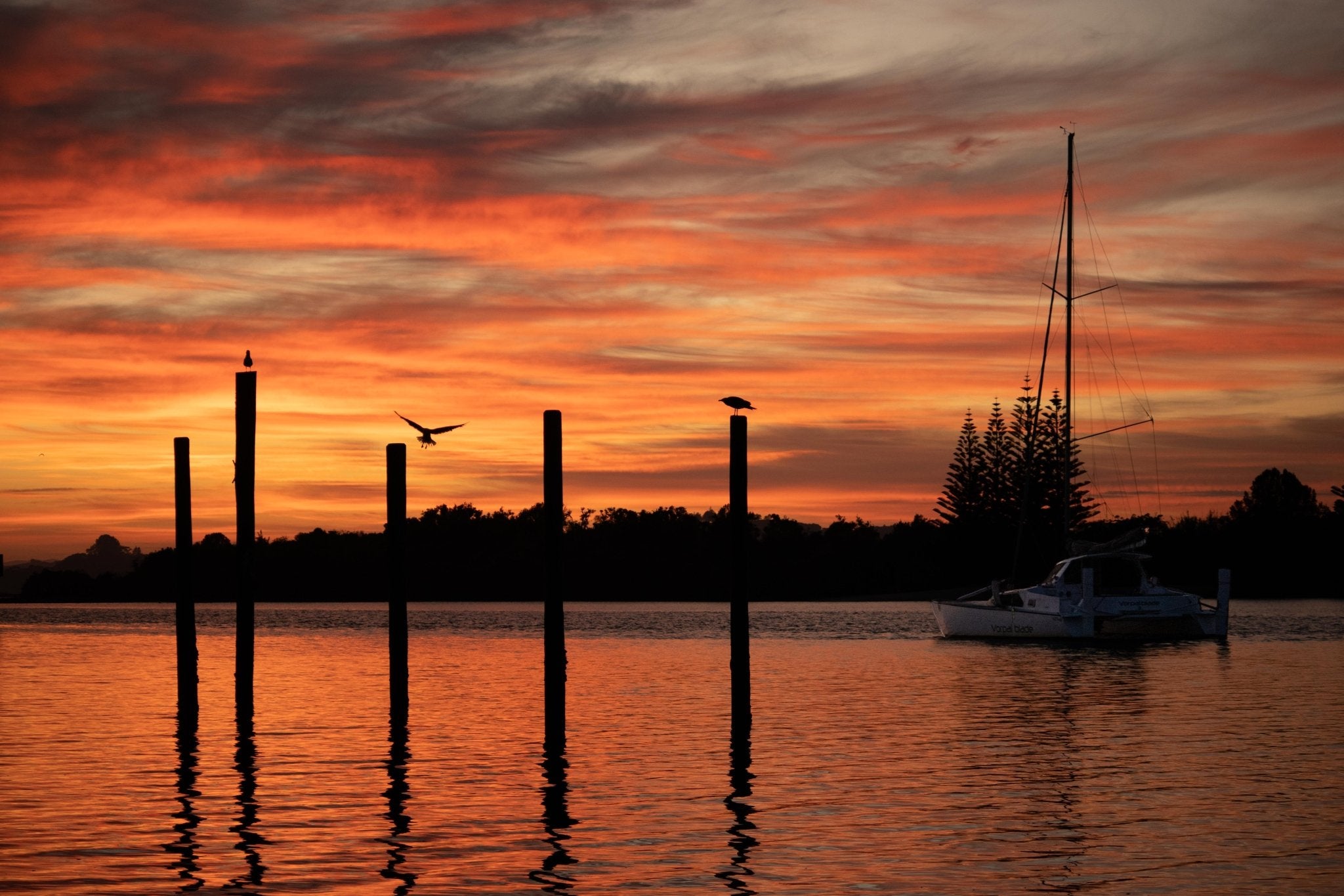 Rangitane Kerikeri Inlet – PCK Photography
