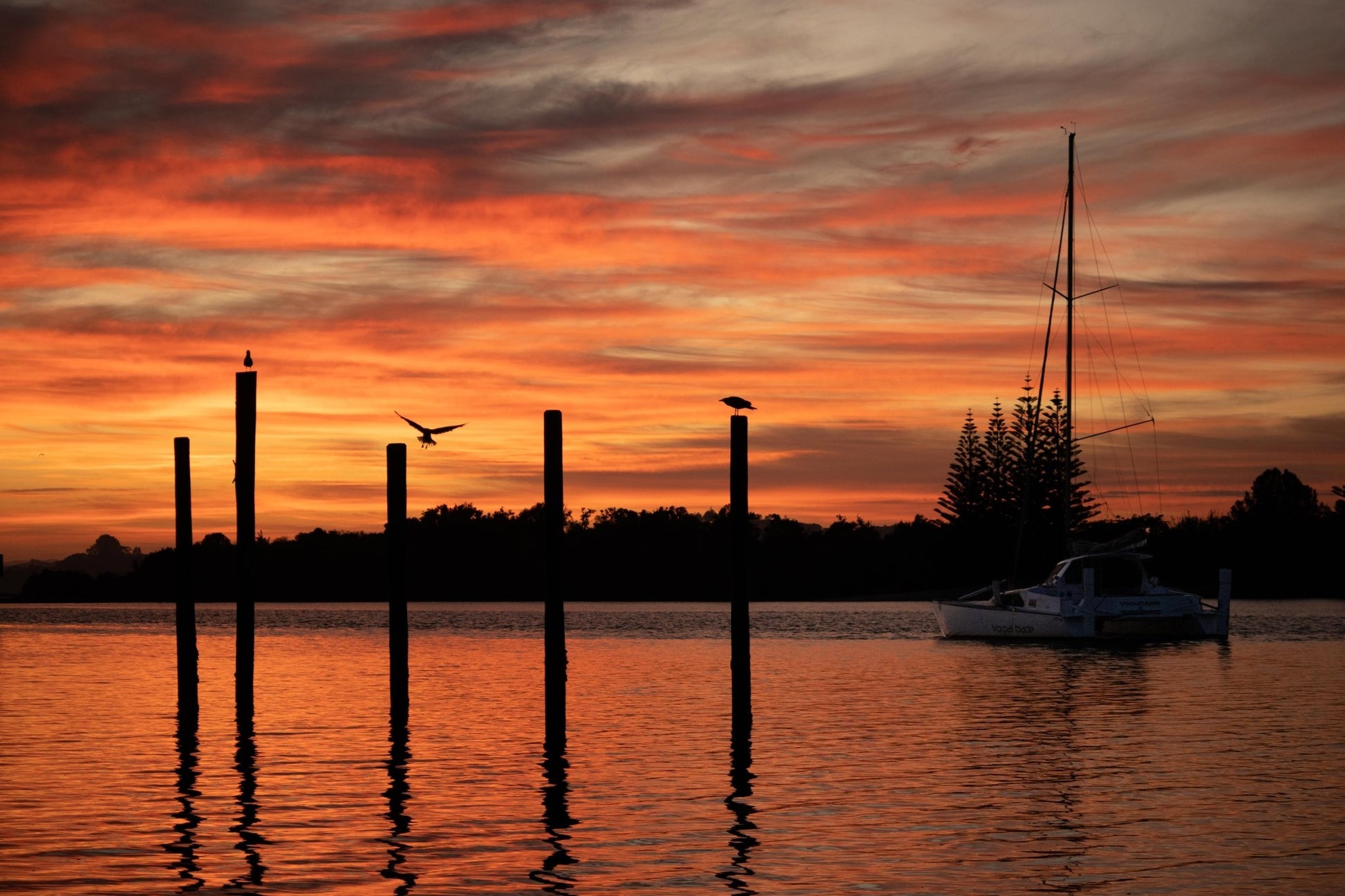Rangitane Kerikeri Inlet - PCK Photography