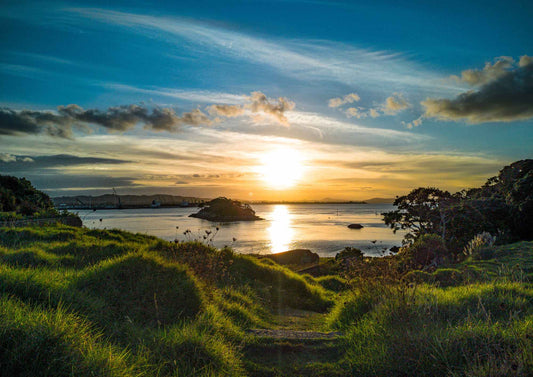 Reotahi Track - PCK Photography