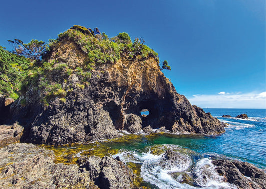 Rocky Bay Reserve - PCK Photography