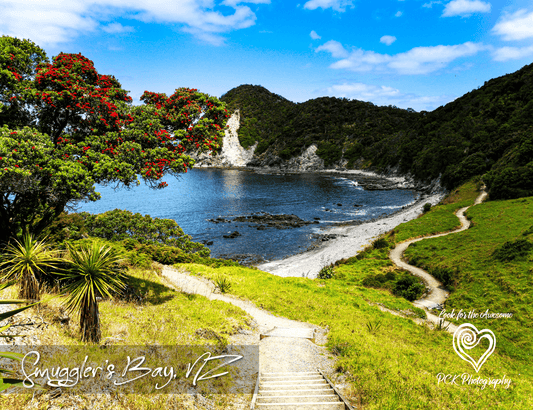 Smuggler's Bay Track - Magnetic Postcard - PCK Photography
