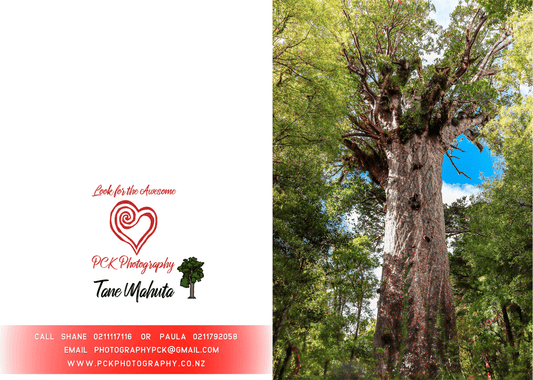 Tane Mahuta Greeting Card - PCK Photography