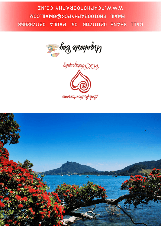 Urquharts Bay Greeting Card - PCK Photography
