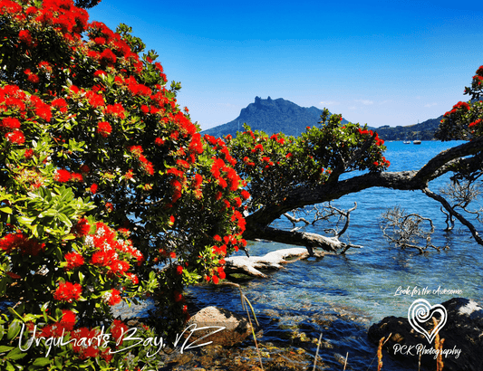 Urquharts Bay - Magnetic Postcard - PCK Photography