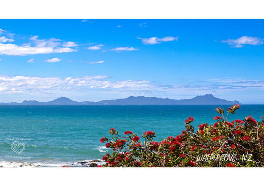Waipu Cove Fabric Art - PCK Photography