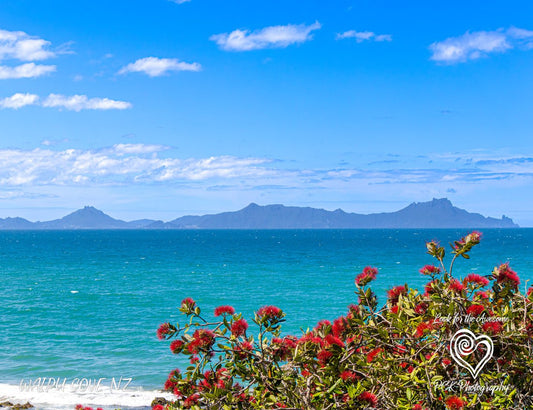 Waipu Cove - Magnetic Postcard - PCK Photography