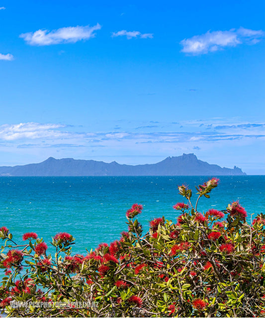 Waipu Shower Curtain 150cm x 180cm - PCK Photography