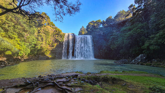 Whangarei Falls - PCK Photography