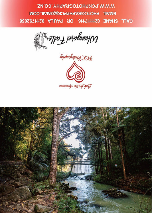 Whangarei Falls LS Greeting Card - PCK Photography