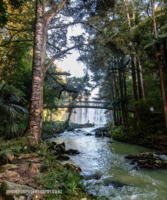 Whangarei Falls Shower 2 Curtain 150cm x 180cm - PCK Photography